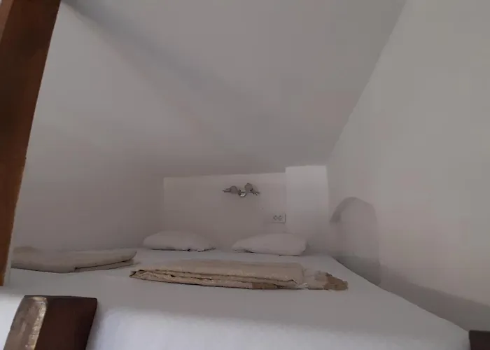 Vida *